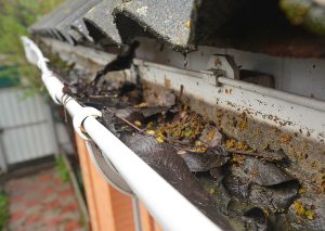 Read more about the article How To: Clean Your Gutters