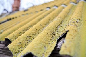 Read more about the article Chemicals For Cleaning Your Roof