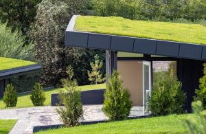 Read more about the article Rooftop Gardens Are The Next Big Roofing Revolution